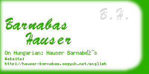 barnabas hauser business card